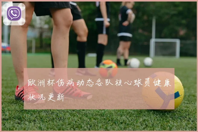 欧洲杯伤病动态各队核心球员健康状况更新