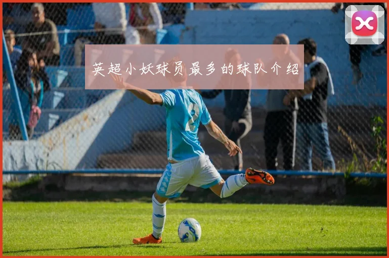 英超小妖球员最多的球队介绍